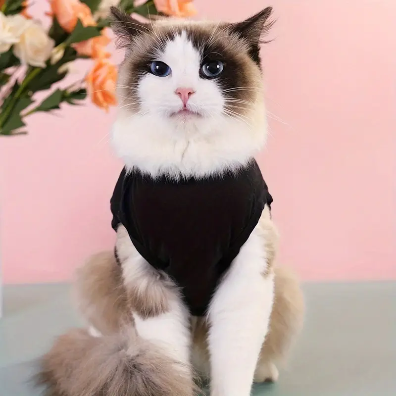 1pc 귀여운 Leader Of The Pack 반려동물 통기성 조절 가능한 조끼 개와 고양이를 위한 여름 파티 의류 세부 정보 4