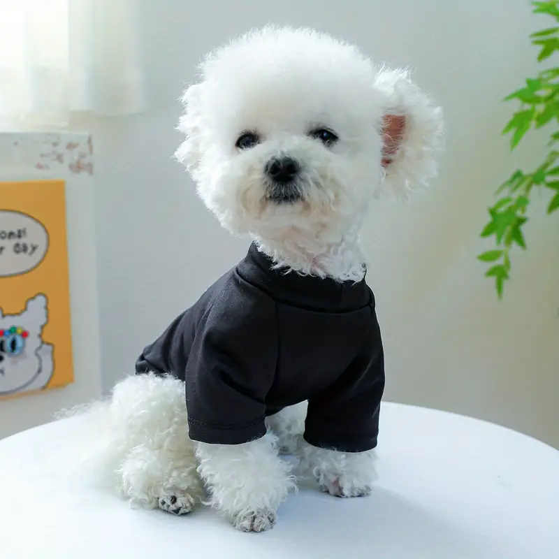 슬로건 그래픽 애완동물 티 썸머 개 옷 작은 개와 중형 개용 통기성 개 티셔츠 블랙 세부 정보 5