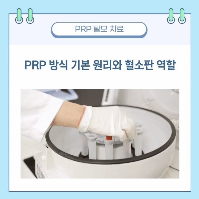 스크린샷 2026-06-04 102733.png