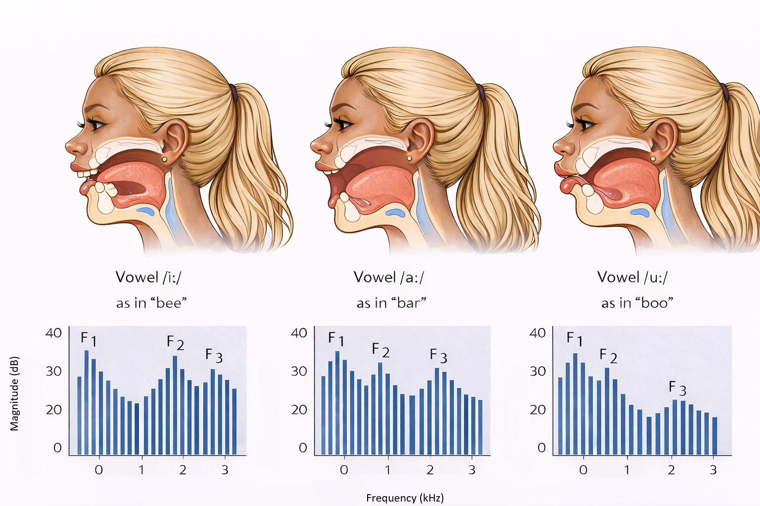 Understanding Formants in Speech Signals : MALMIJAL-M Blog