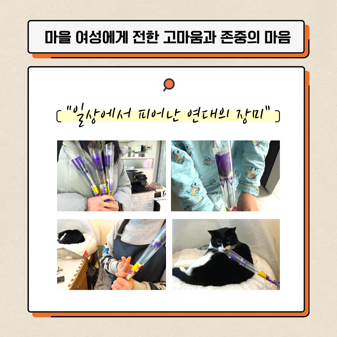 51f6d8e0674ae.png