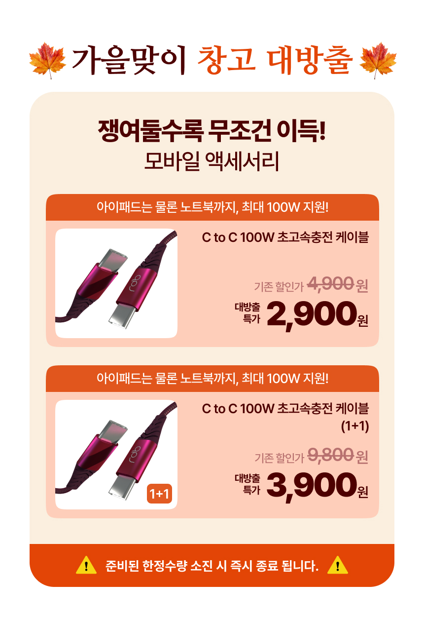 레드빈 C to C 100W 고속충전 케이블 BBCN