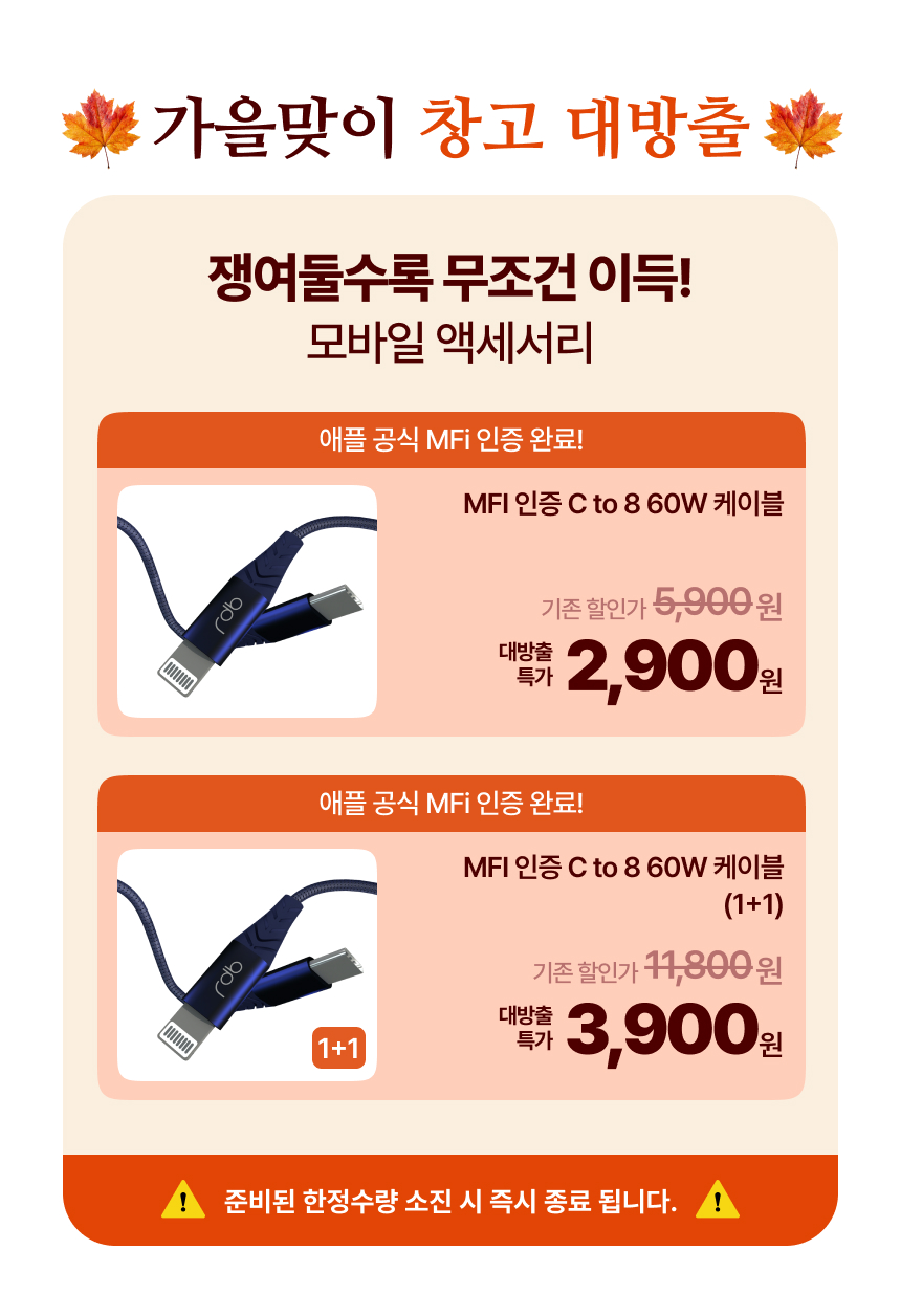 레드빈 C to 8 아이폰 MFi 고속충전 케이블 BB8N