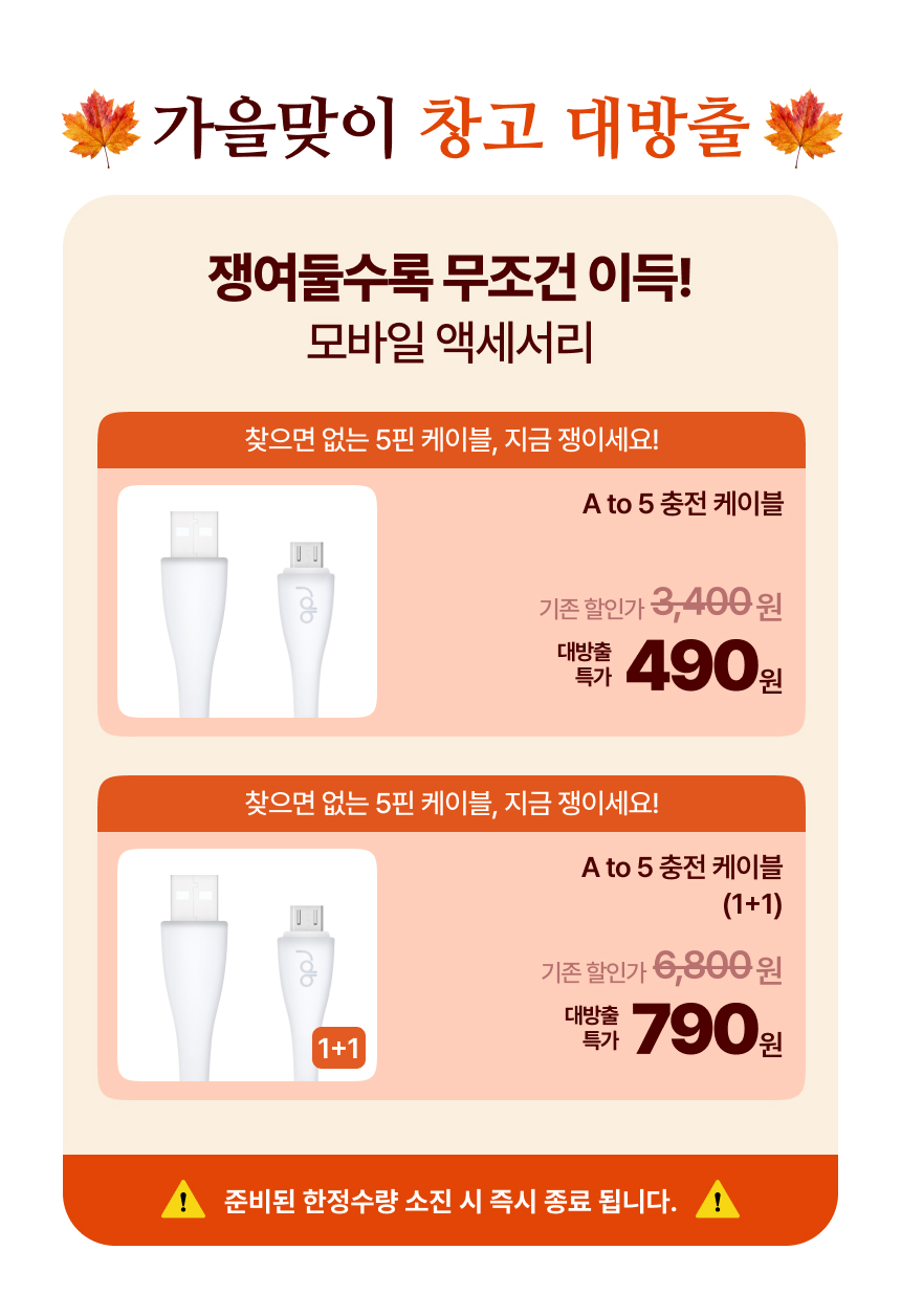 레드빈 USB 5핀 케이블 BANN-125