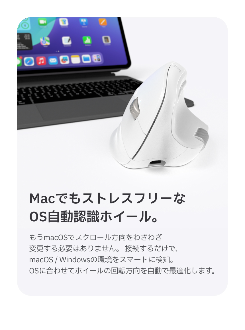 Redbean Quantum Scroll 高速スクロール充電式ツインホイール縦型マウス A79R
