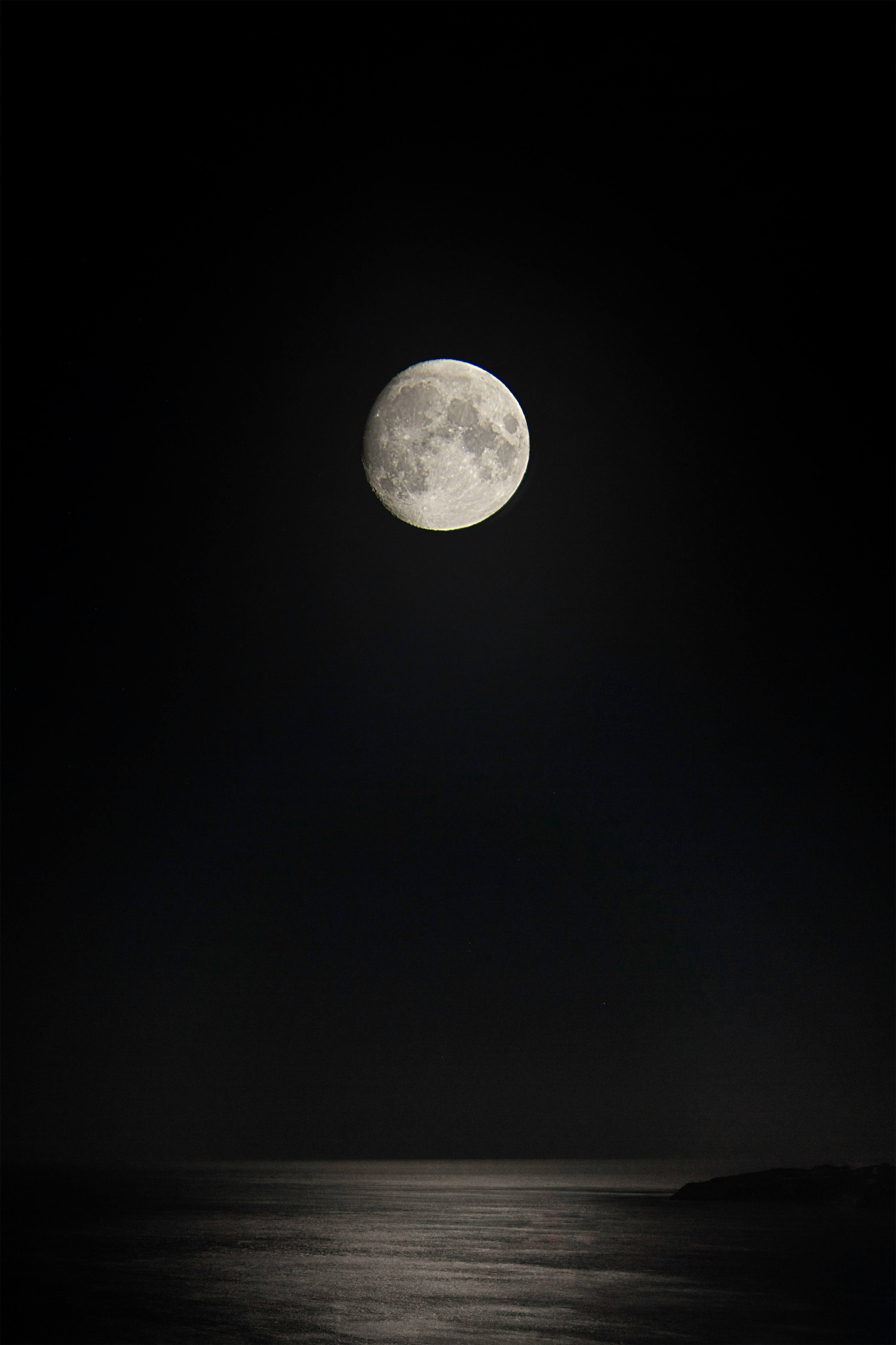 Moonlit Ring - S [14k/18k]