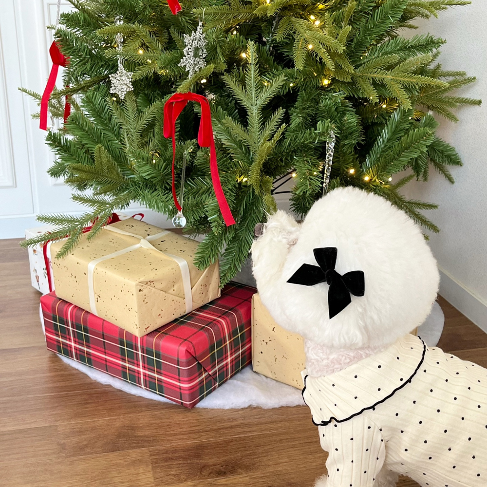 모자 상품 이미지-S22L10