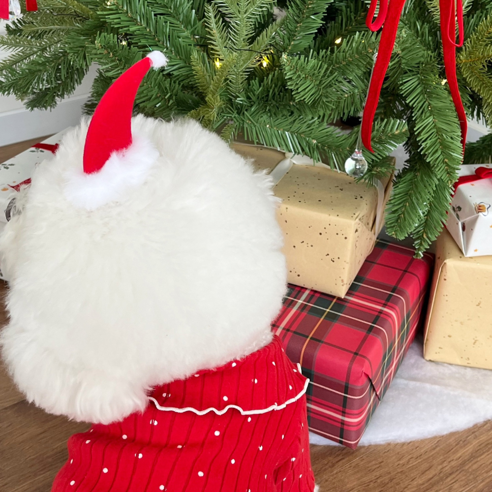 모자 상품 이미지-S22L27