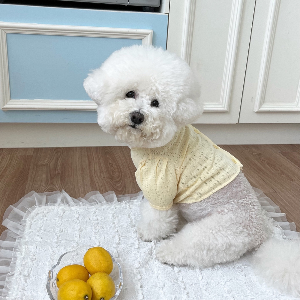 악세사리 모델 착용 이미지-S38L13