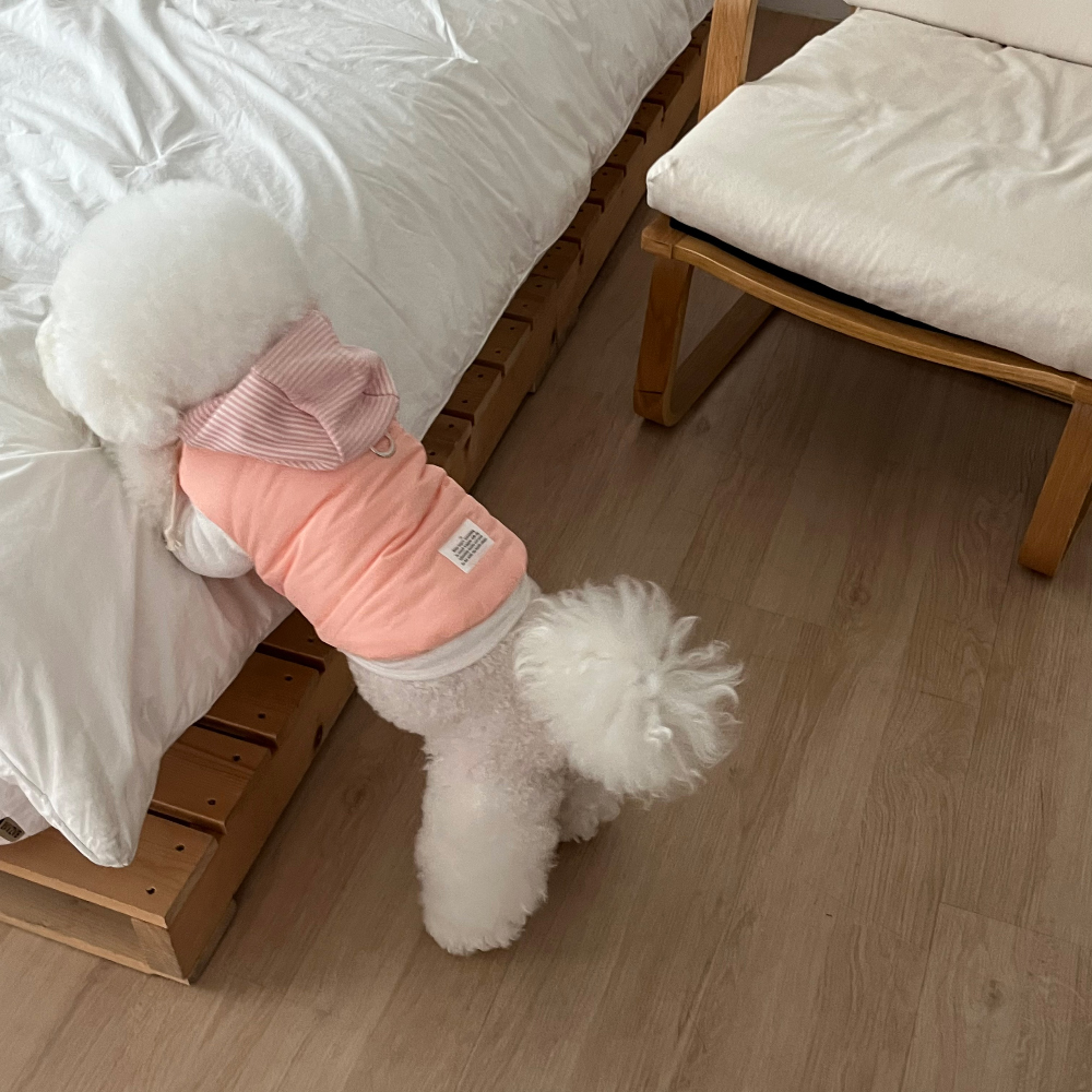 패딩 상품 이미지-S30L72