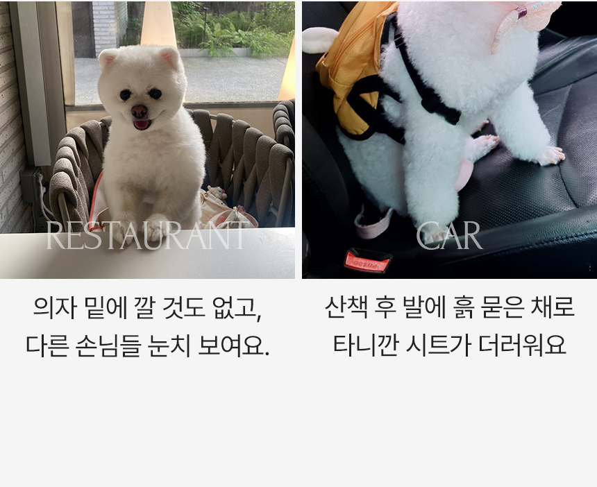 뜨왈 산책 매트 강아지 피크닉 패드