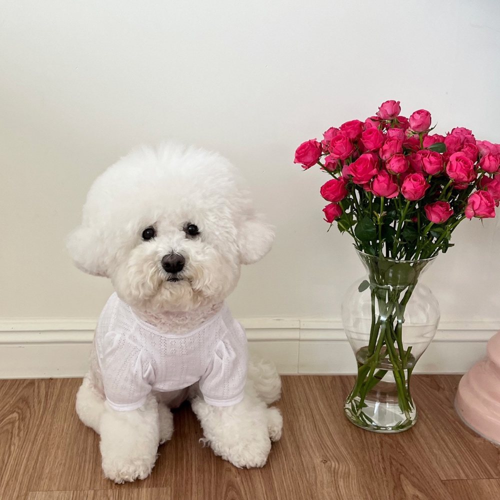 악세사리 모델 착용 이미지-S38L27