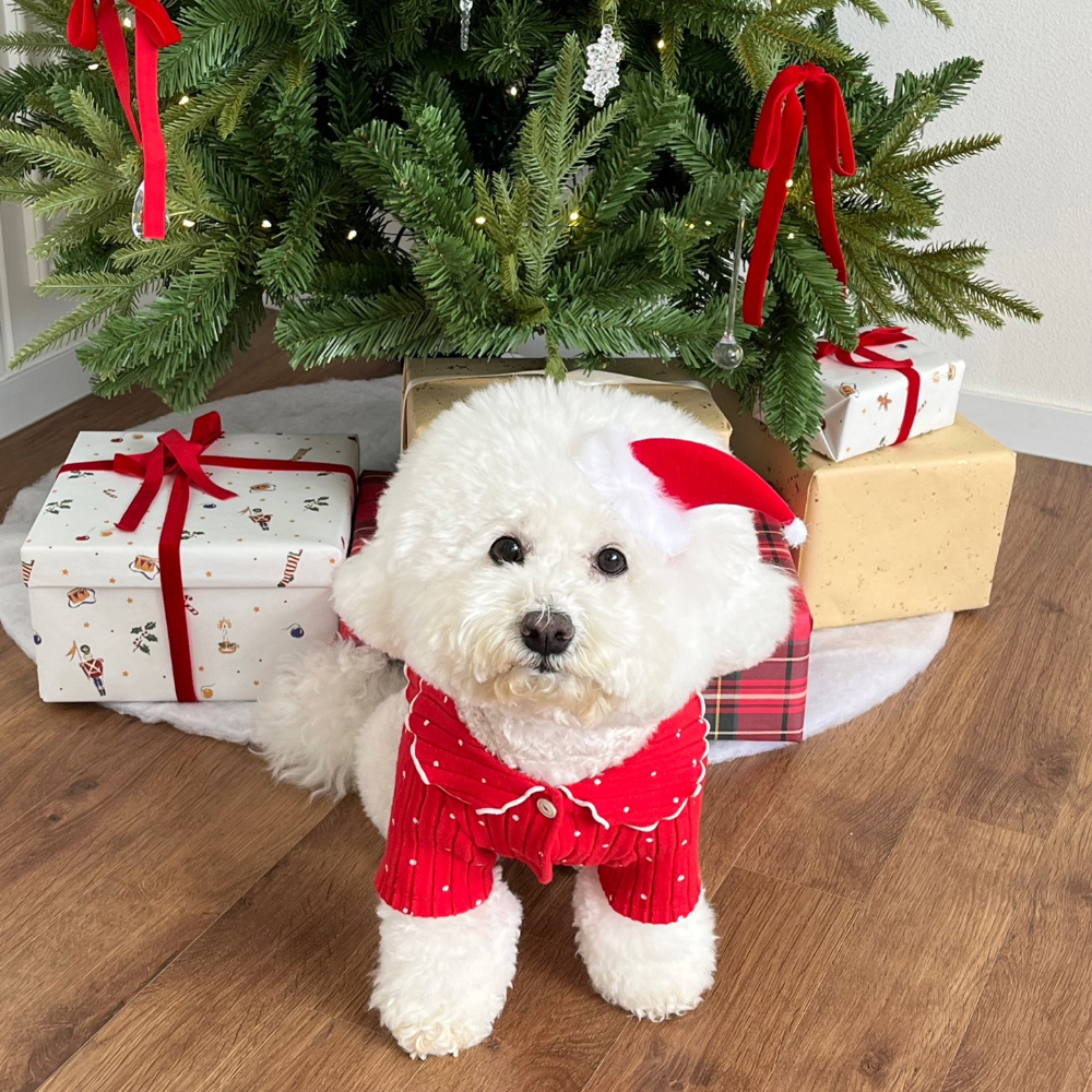 모자 상품 이미지-S22L23