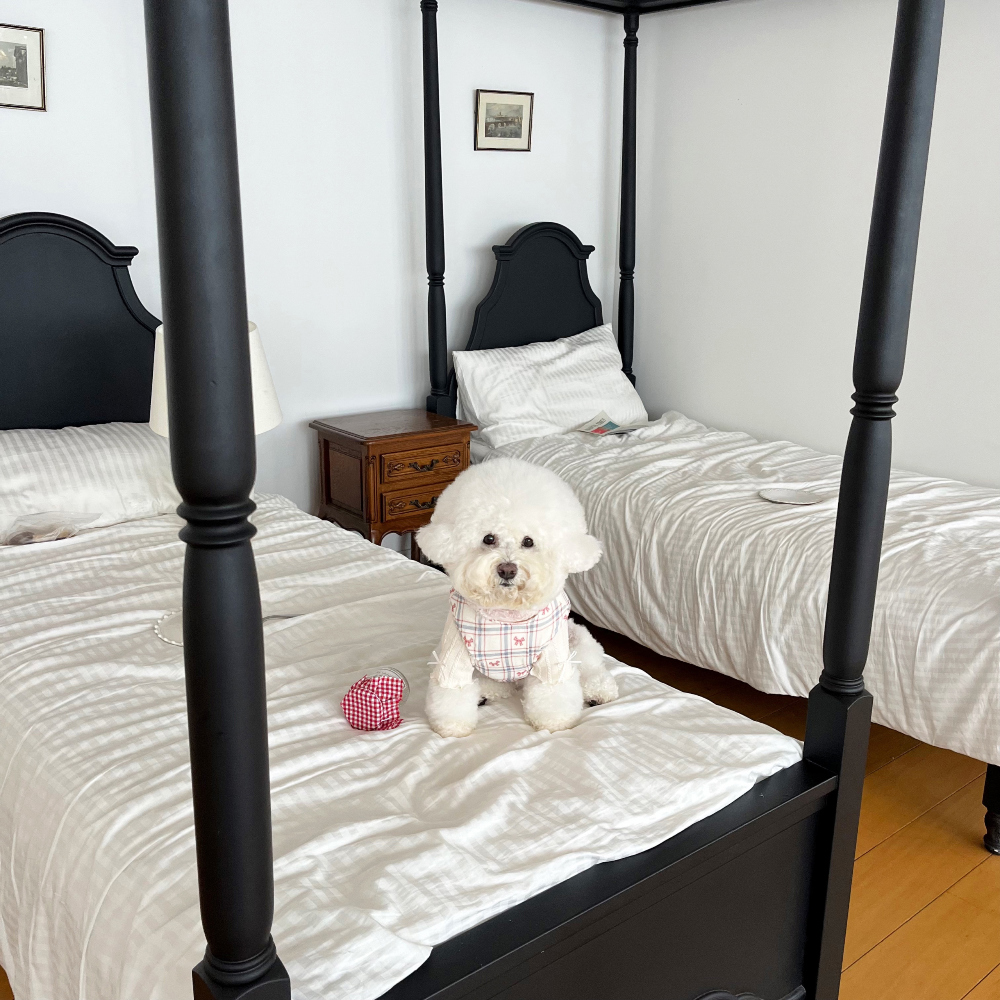 모자 상품상세 이미지-S1L44