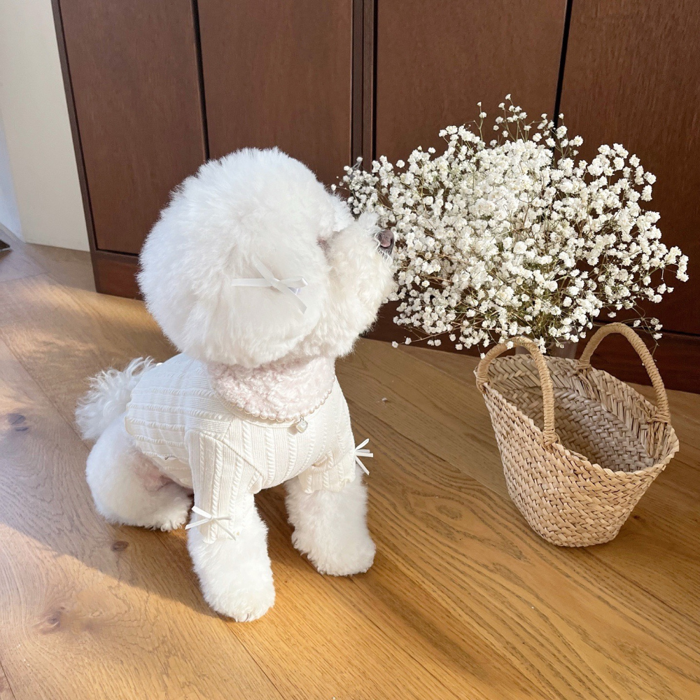 악세사리 상품 이미지-S19L32