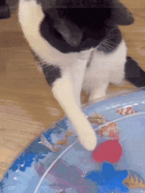 [사계절] 고양이 강아지 낚시왕 워터매트