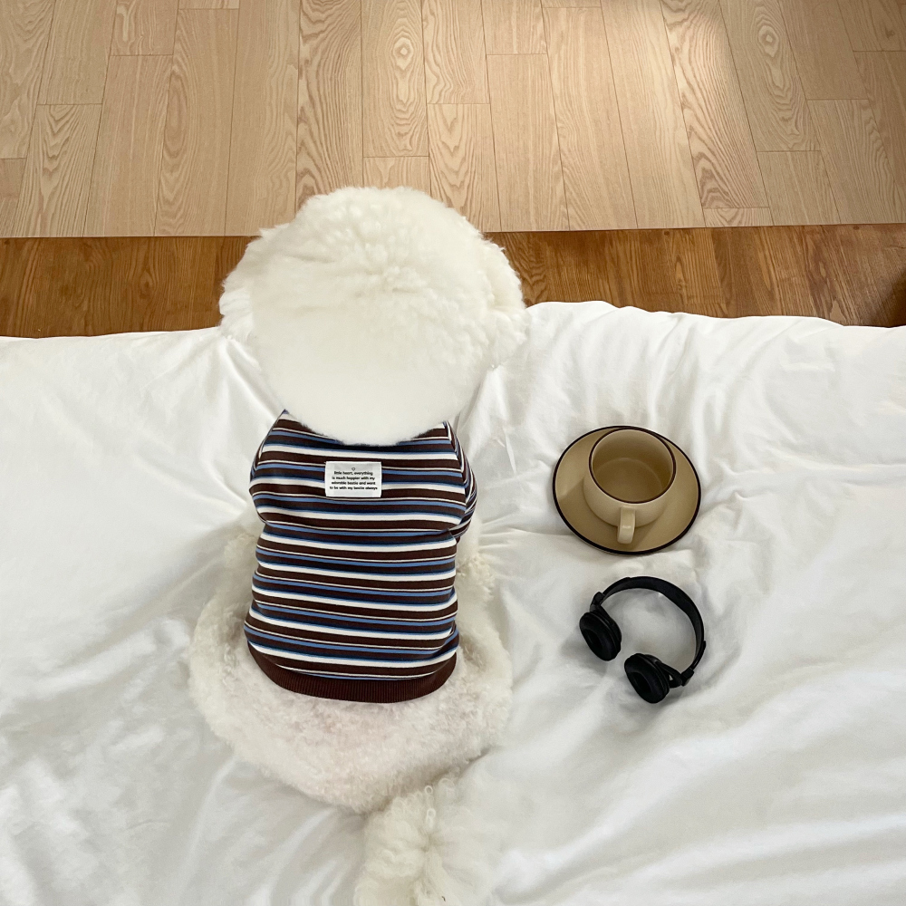 모자 상품 이미지-S49L17