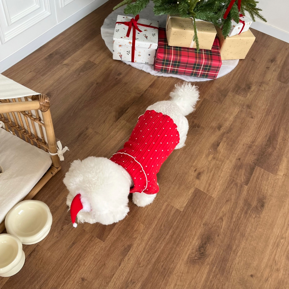 모자 모델 착용 이미지-S22L30