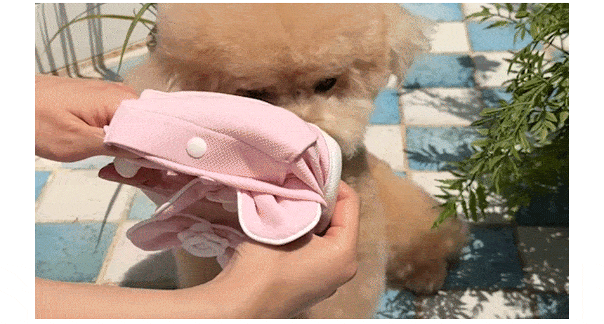[쿨링] 강아지 아이스팩 러블리 쿨조끼