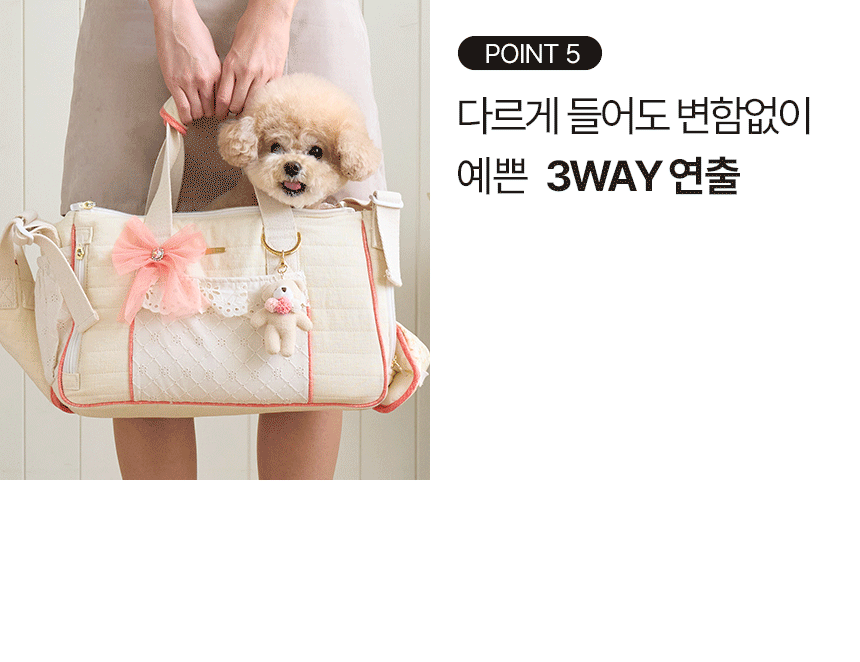 펫미 코지펫백 강아지 수평조절 슬링백