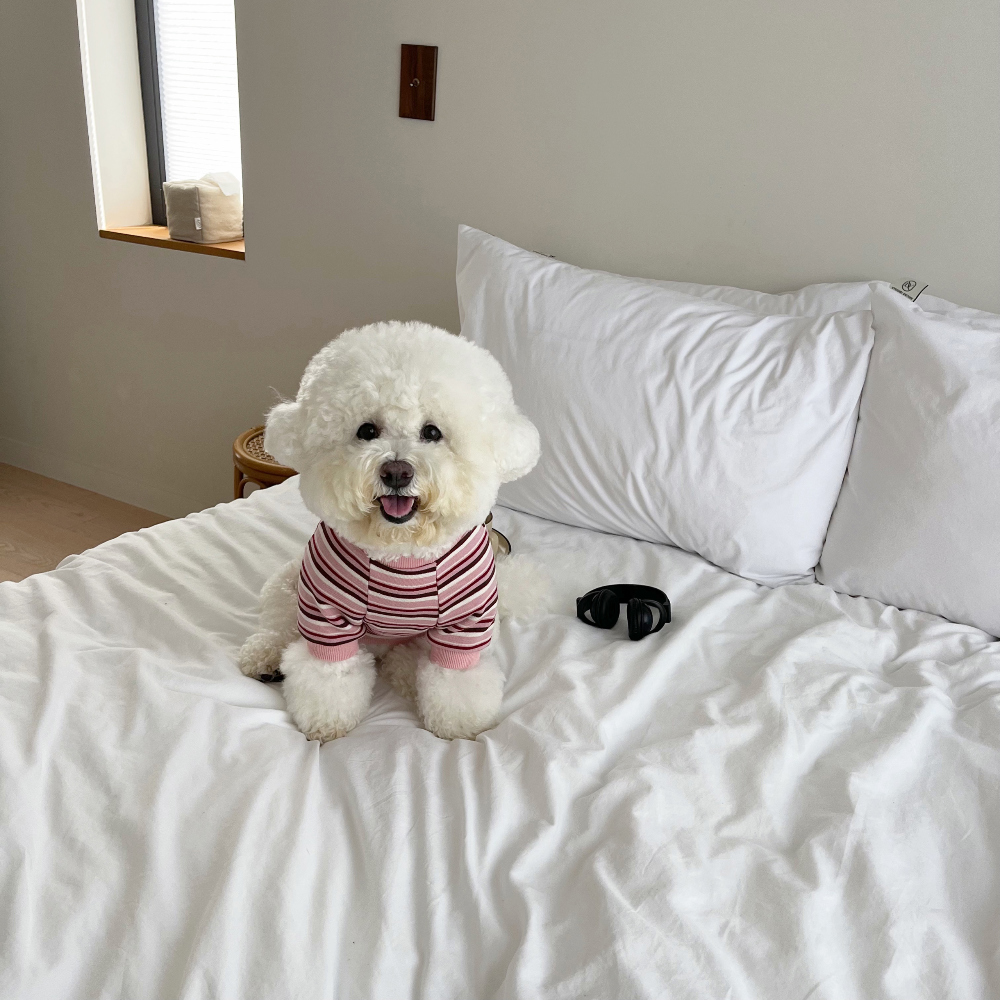 모자 모델 착용 이미지-S49L38