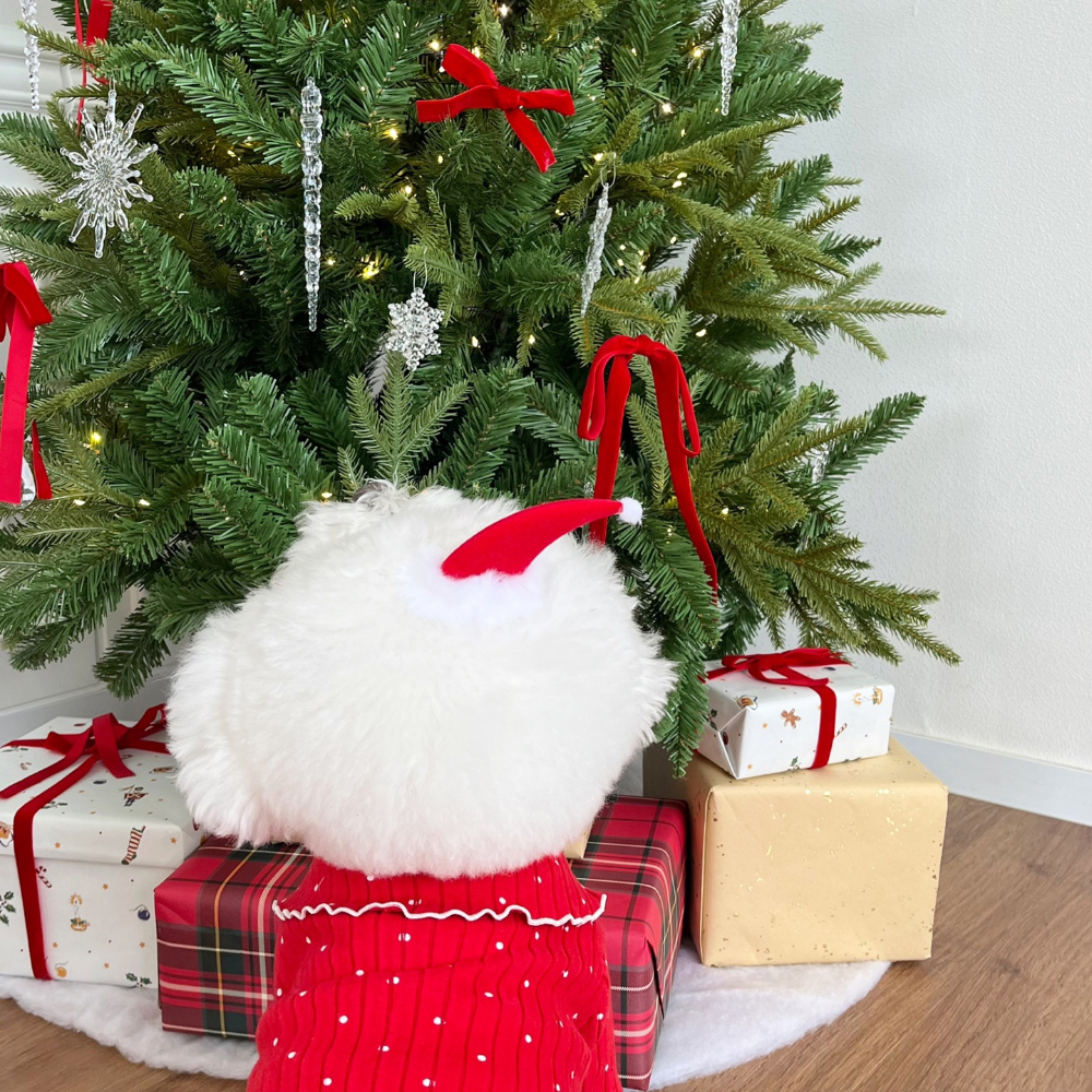 모자 레드 색상 이미지-S22L28