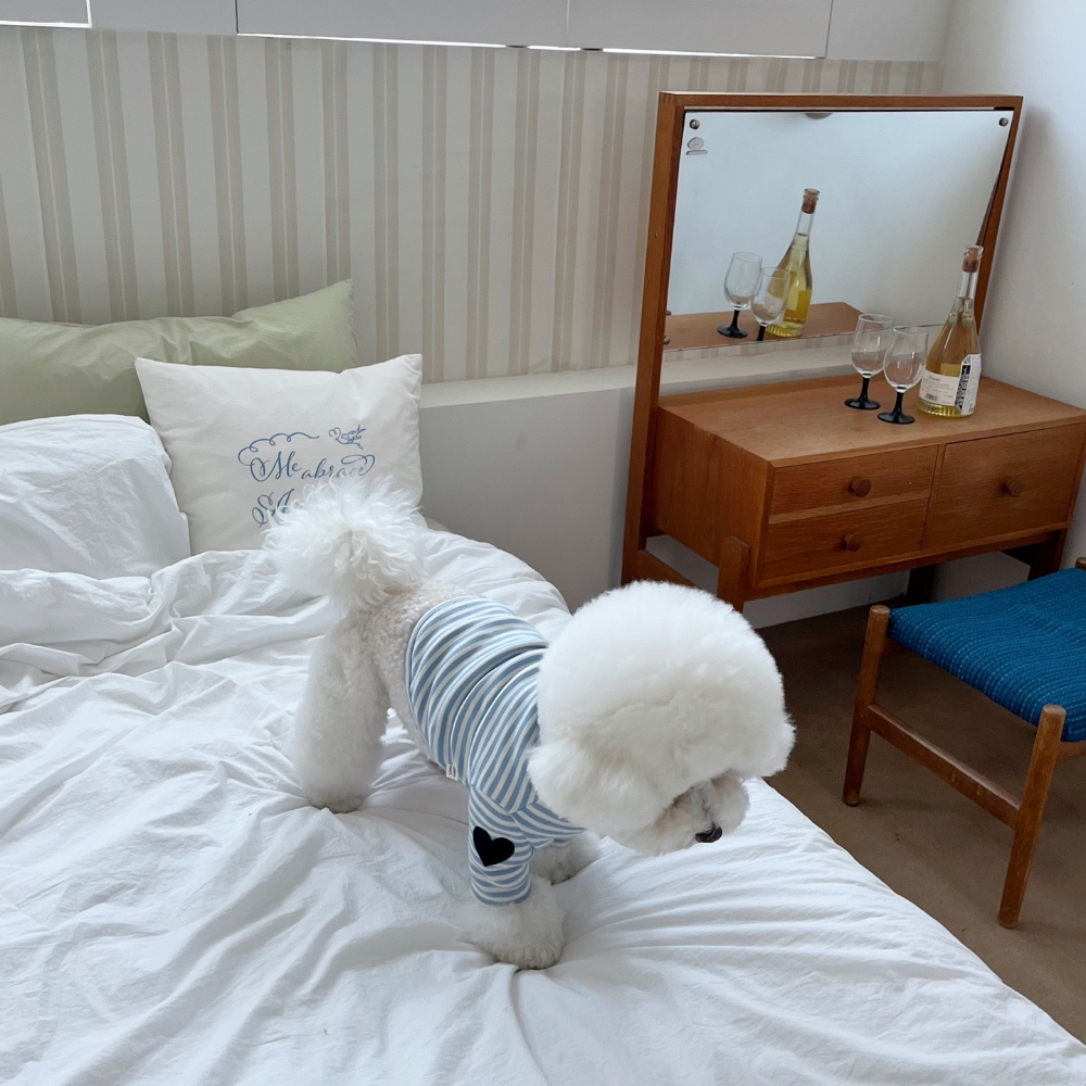 모자 상품 이미지-S37L12