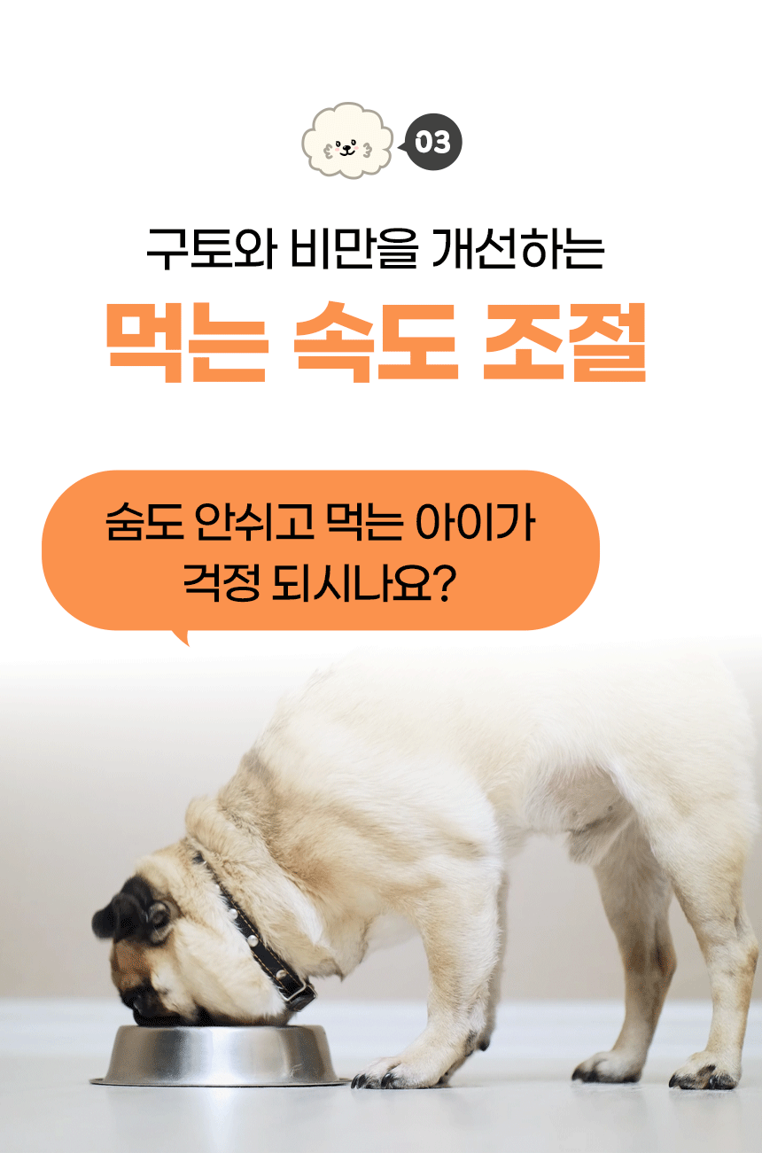 강아지 퍼즐 노즈워크 레벨3 스카이블루