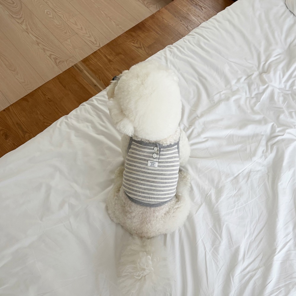 강아지 올데이 버튼 단가라 민소매 나시 애견 여름 옷