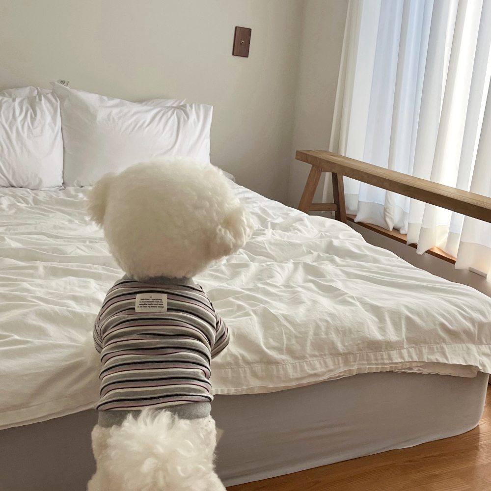 모자 상품상세 이미지-S49L30