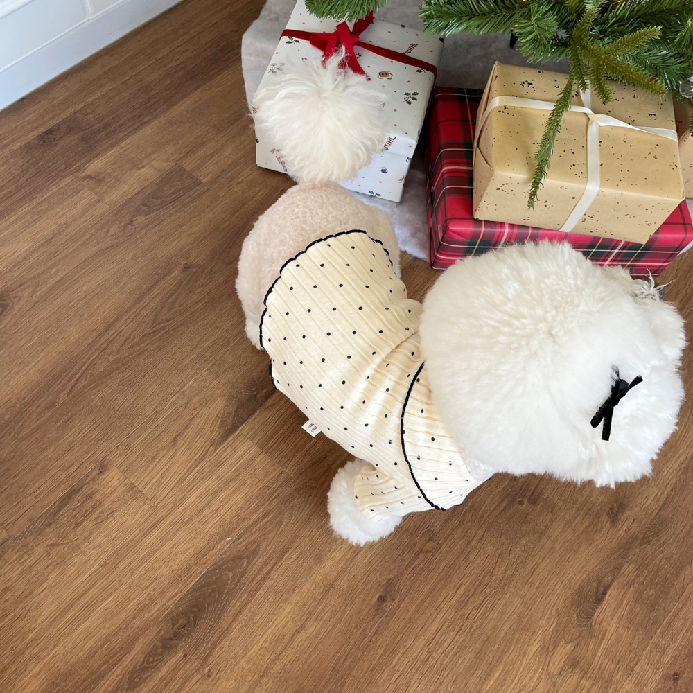 모자 모델 착용 이미지-S22L12