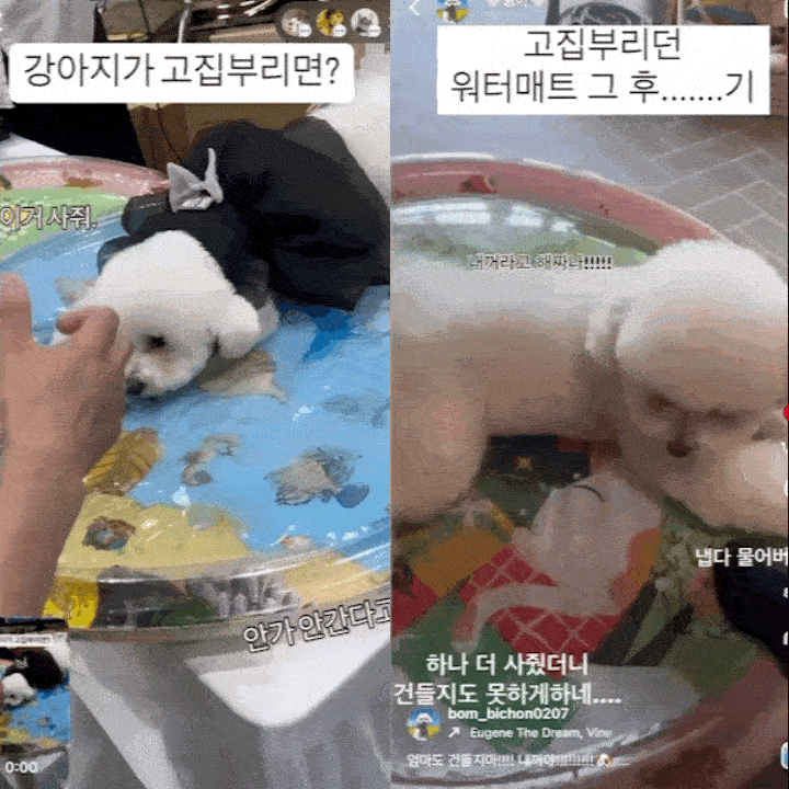 [사계절] 고양이 강아지 낚시왕 워터매트