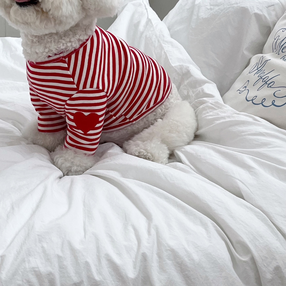 모자 모델 착용 이미지-S37L32