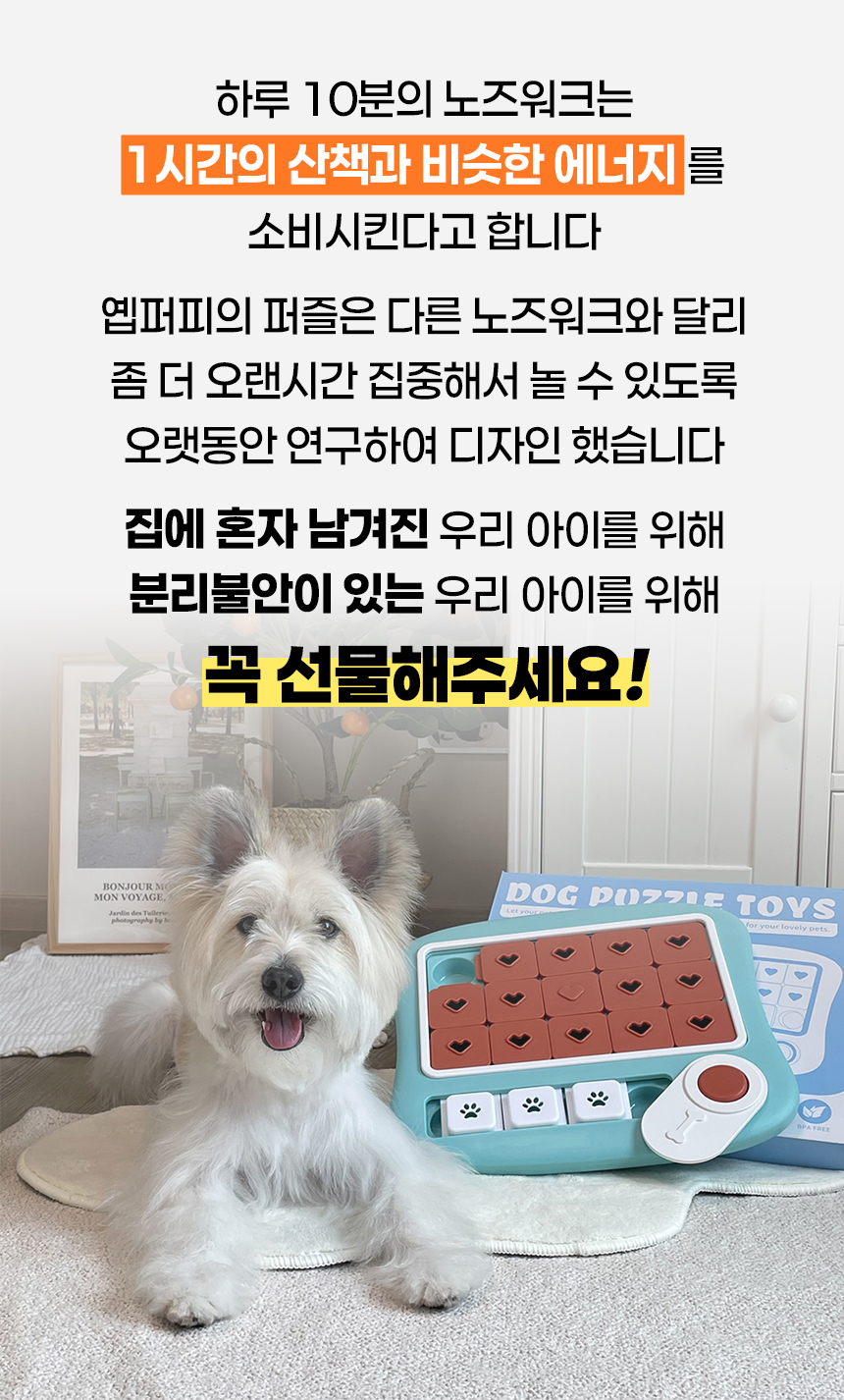 강아지 퍼즐 노즈워크 레벨4 트라이앵글