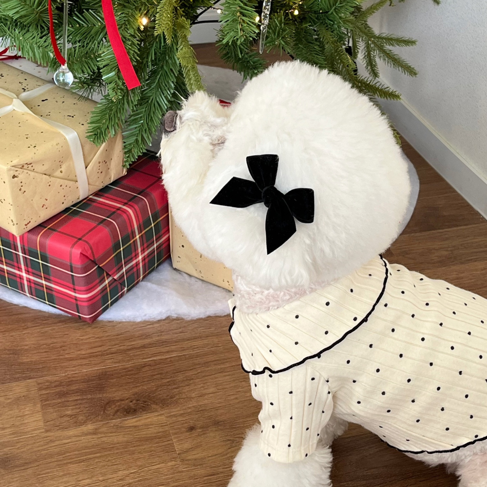 모자 상품 이미지-S22L11