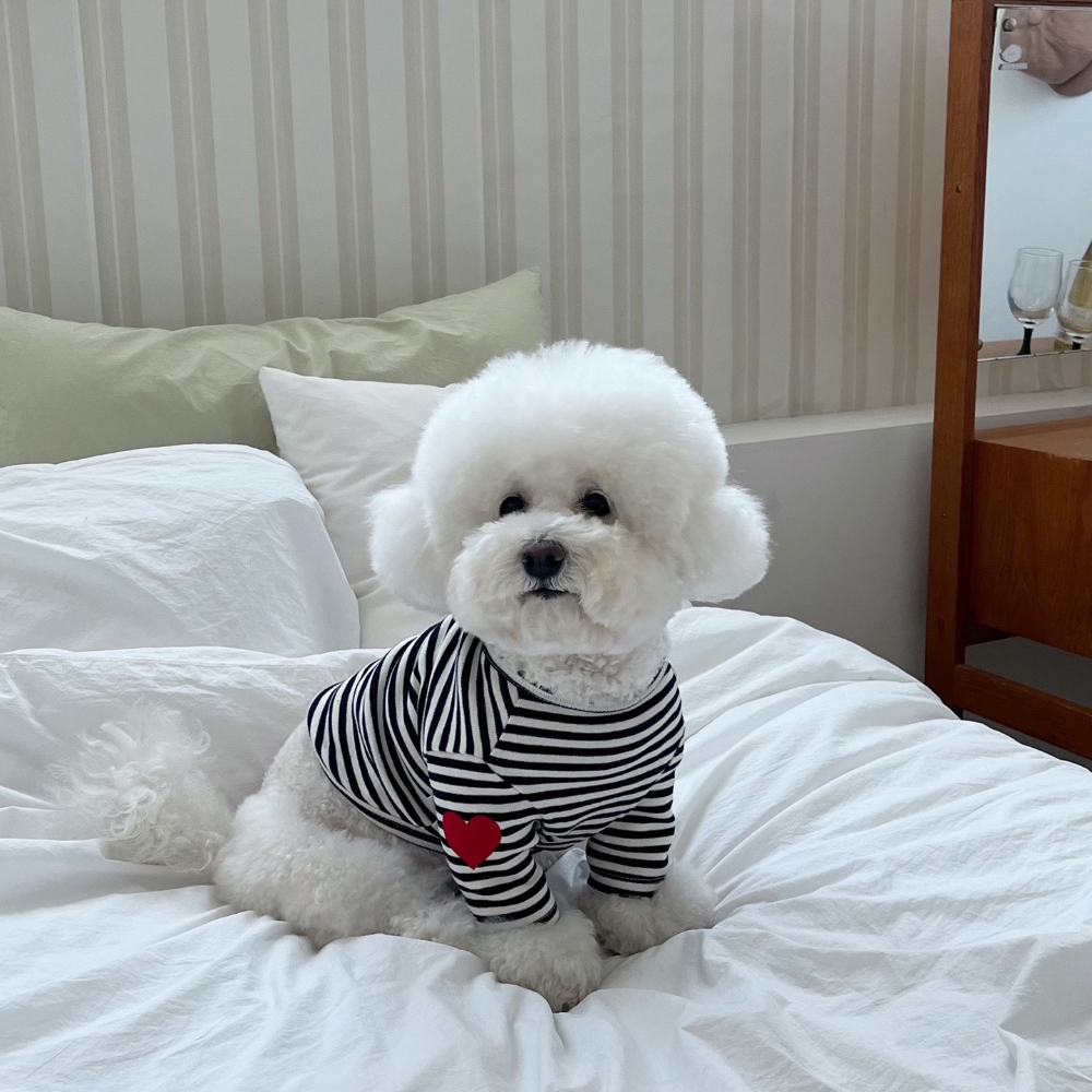 모자 상품 이미지-S37L22