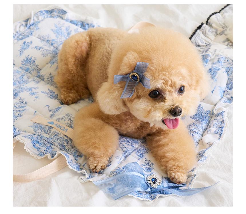 뜨왈 산책 매트 강아지 피크닉 패드