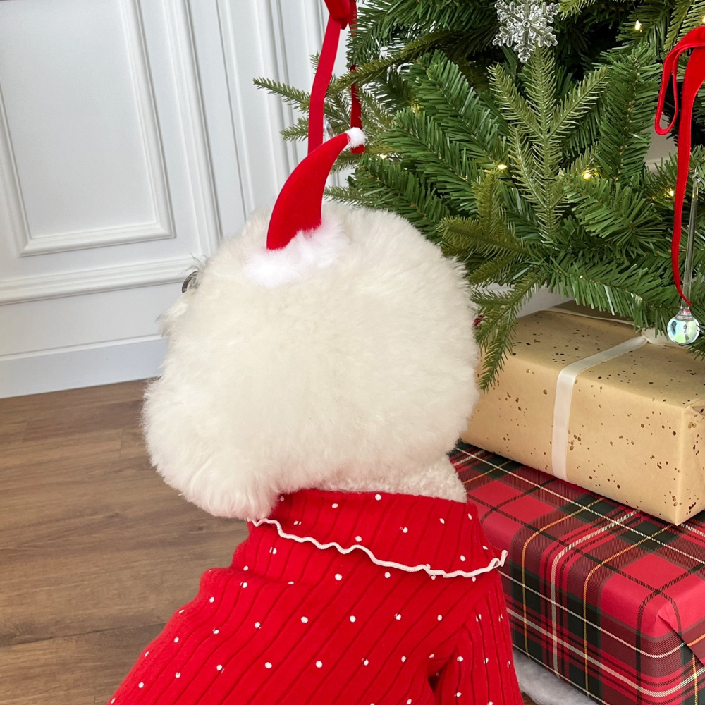 모자 상품 이미지-S22L26