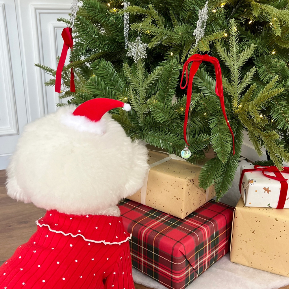 모자 모델 착용 이미지-S22L25