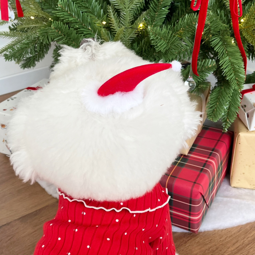 모자 상품상세 이미지-S22L29