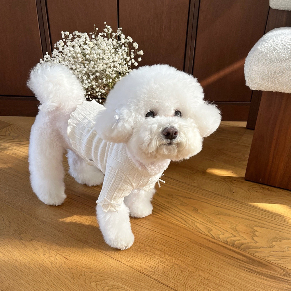 악세사리 모델 착용 이미지-S19L24