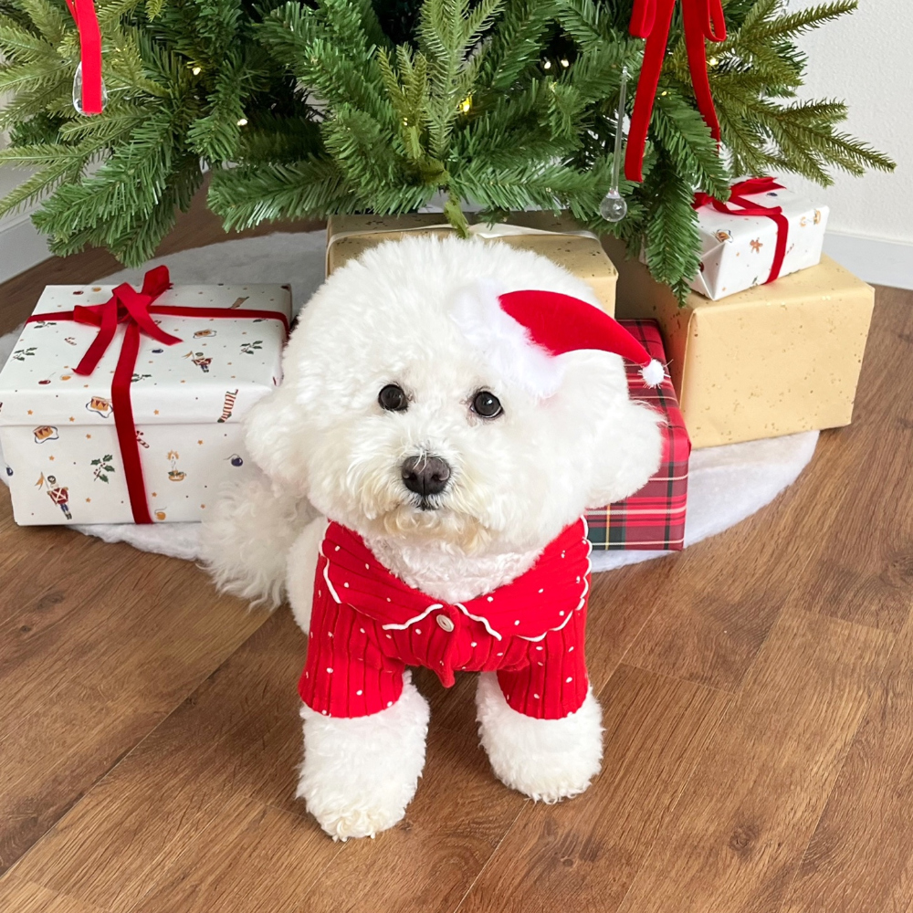 모자 상품 이미지-S22L24