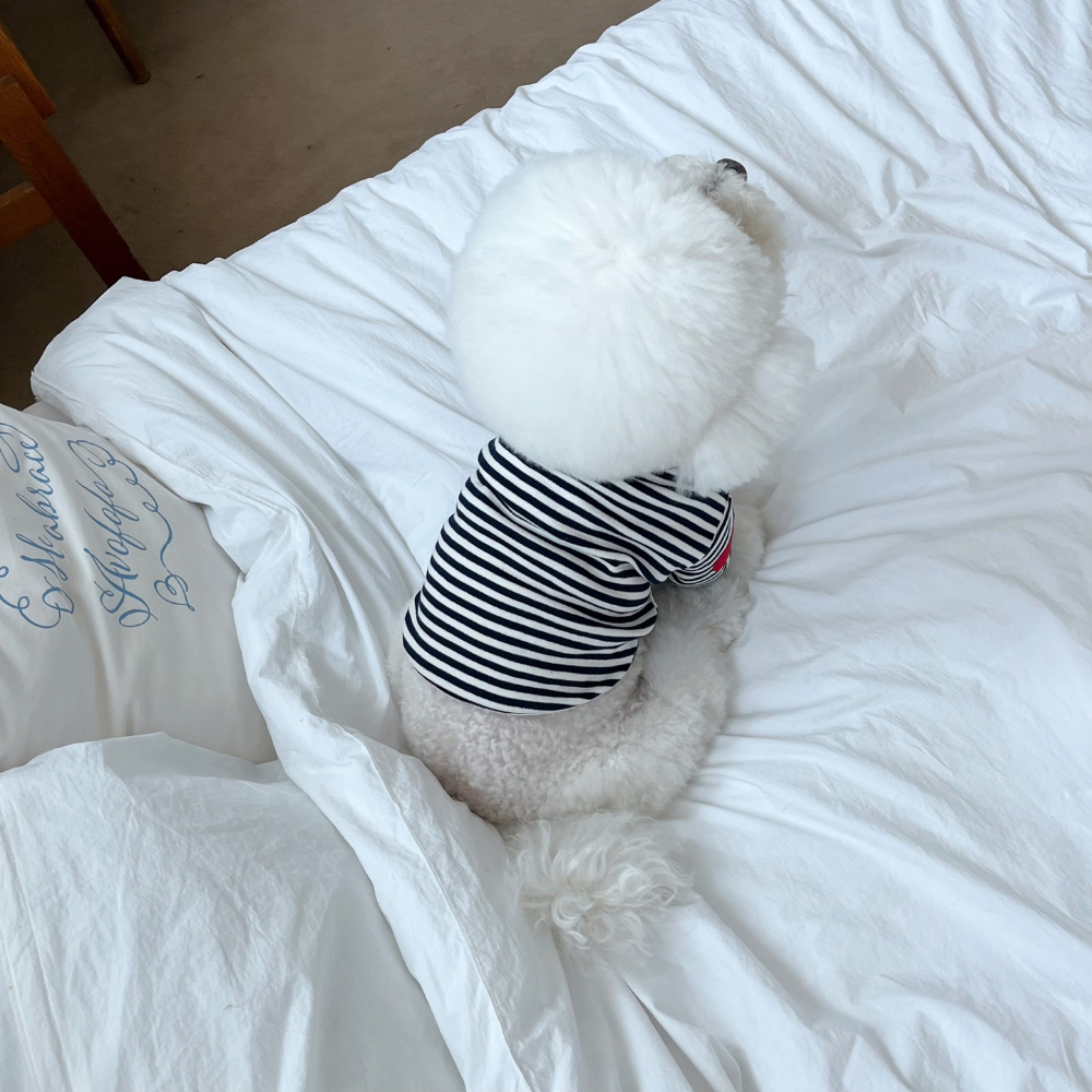 모자 상품상세 이미지-S37L21