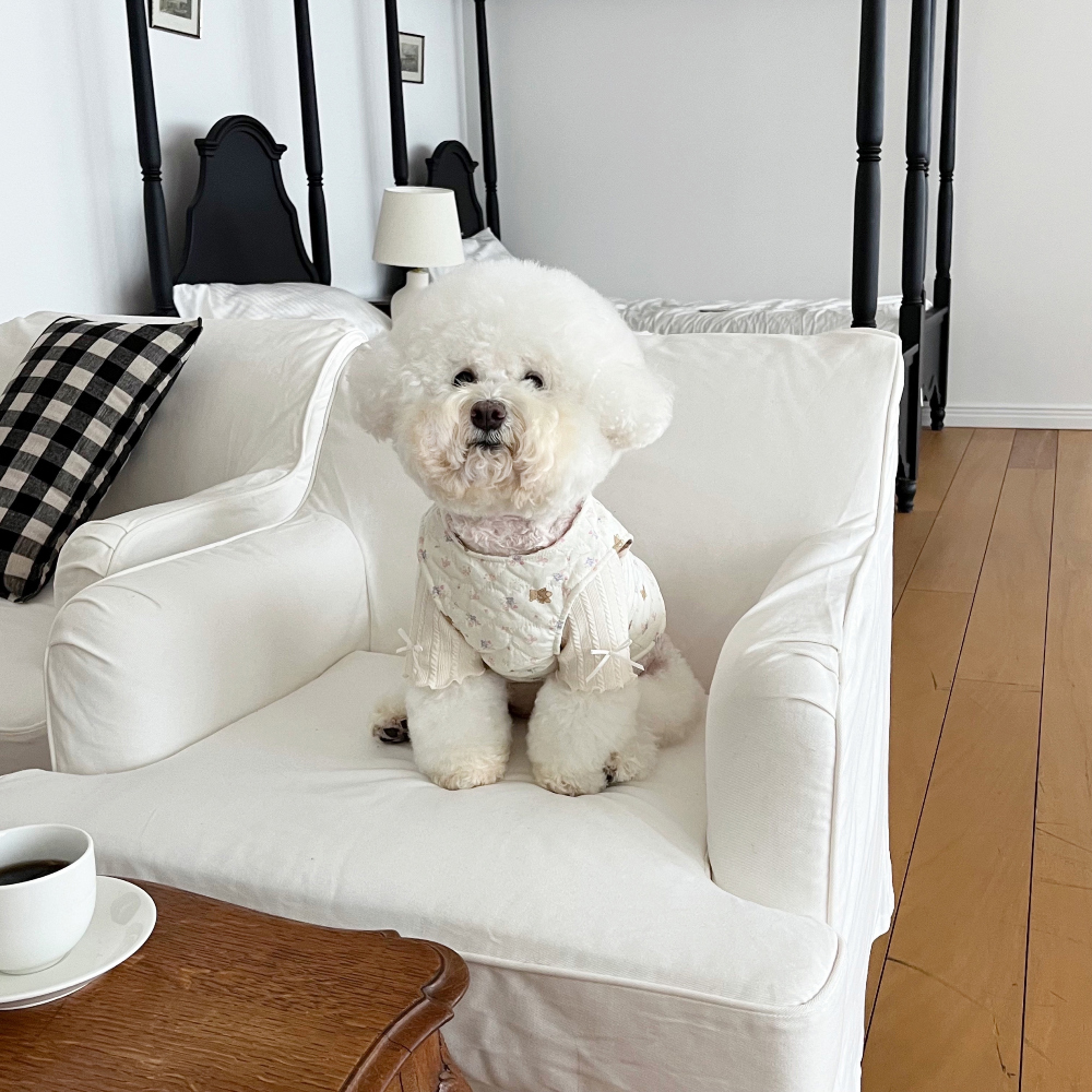 모자 모델 착용 이미지-S1L14