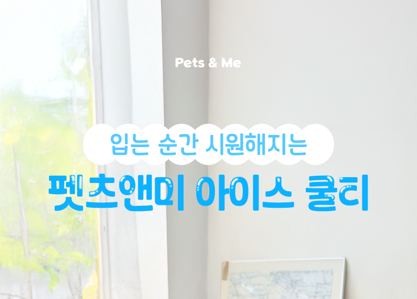 [쿨링] 강아지 아이스팩 러블리 쿨조끼