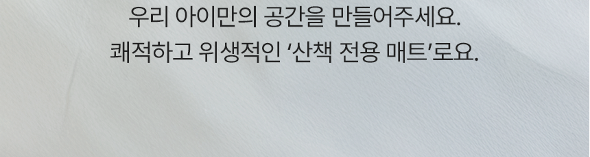 뜨왈 산책 매트 강아지 피크닉 패드