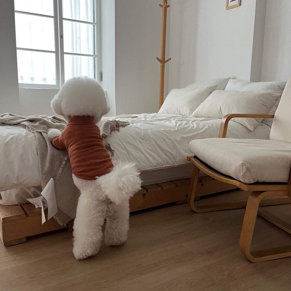 모자 모델 착용 이미지-S27L15