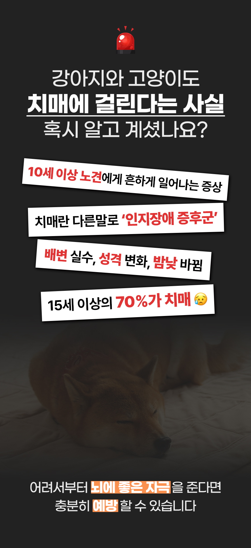 강아지 퍼즐 노즈워크 레벨3 스카이블루