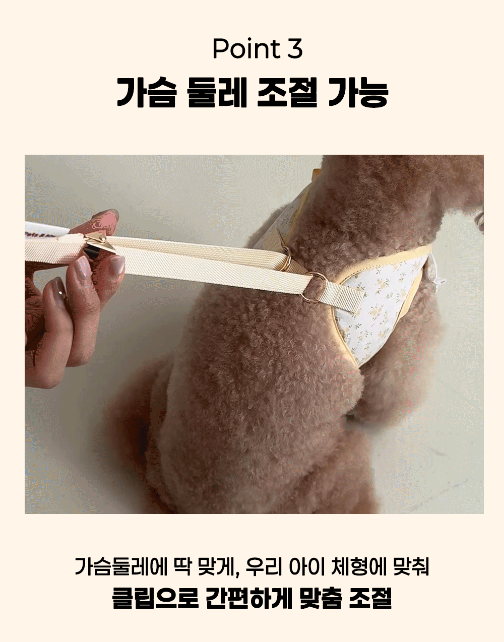 강아지 네이밍 허그 프릴 커스텀 하네스