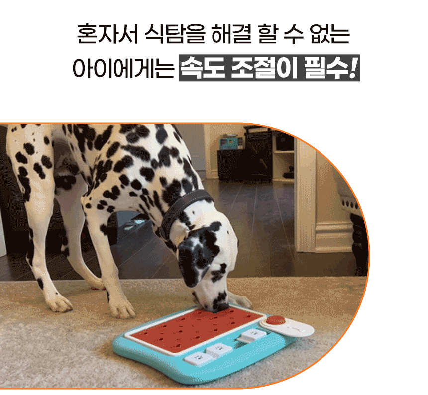 강아지 퍼즐 노즈워크 레벨4 트라이앵글